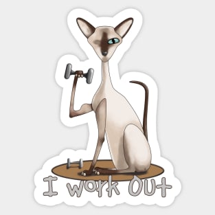 The Gym Cat Sticker